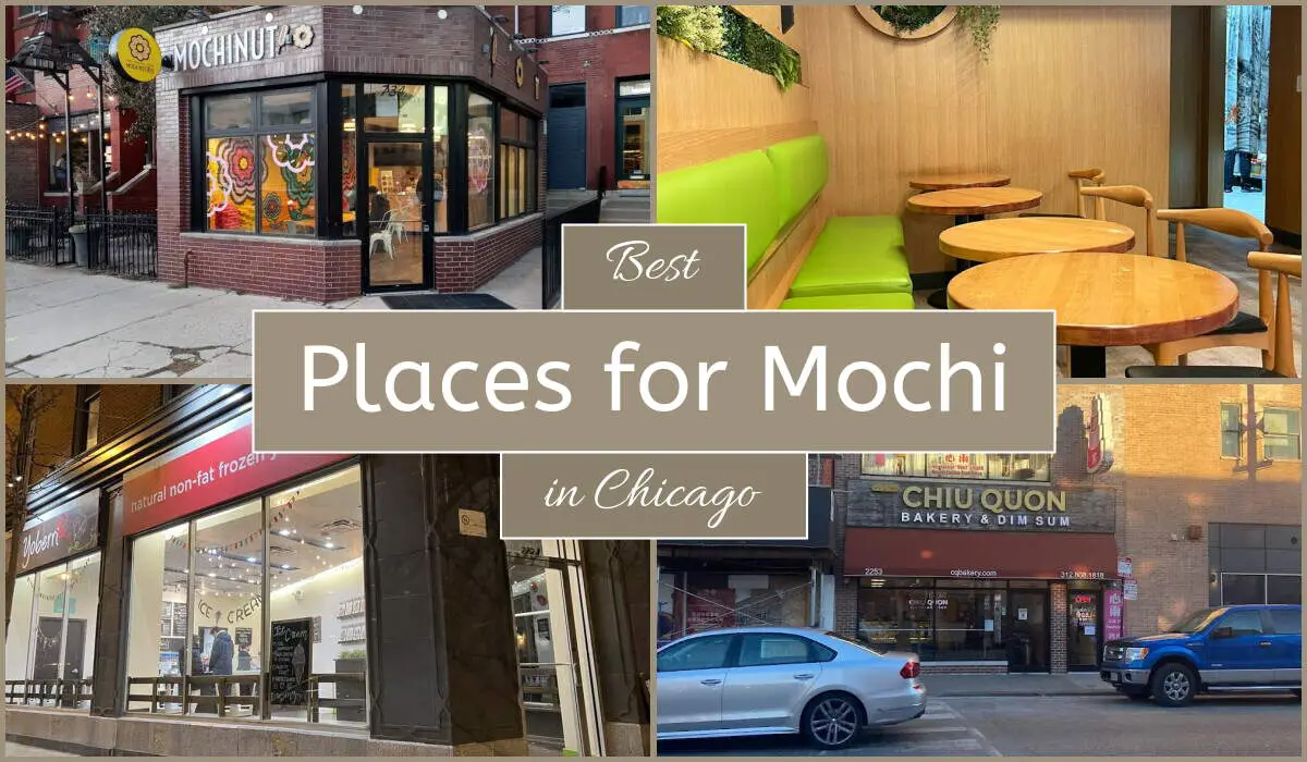 Best Places For Mochi In Chicago