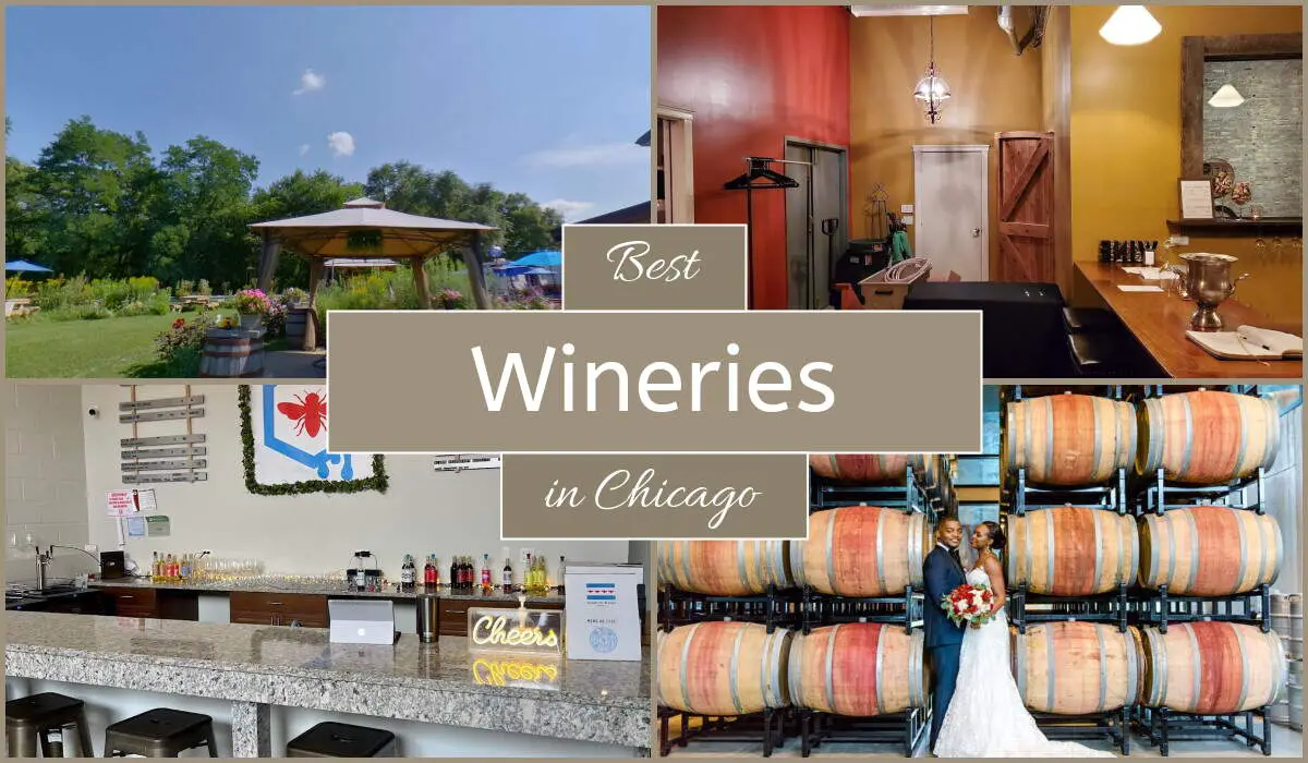 Best Wineries In Chicago