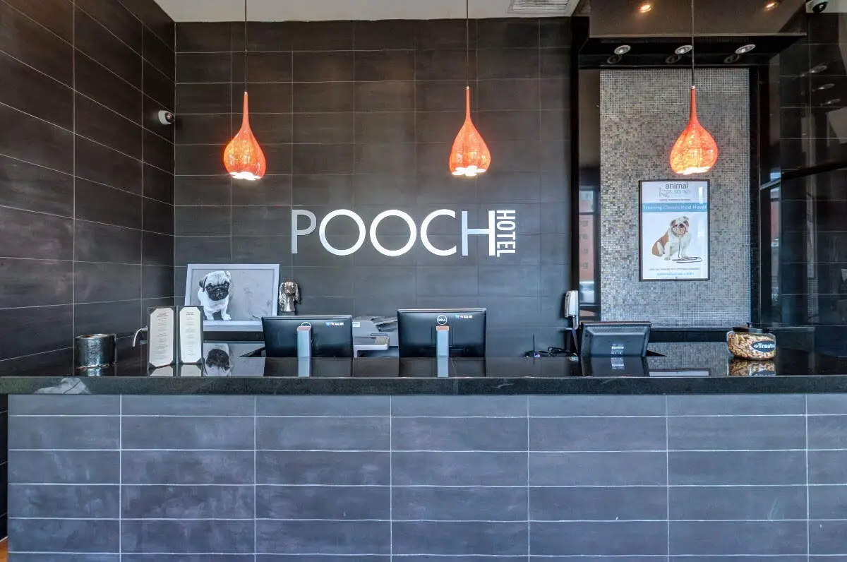 Pooch Hotel