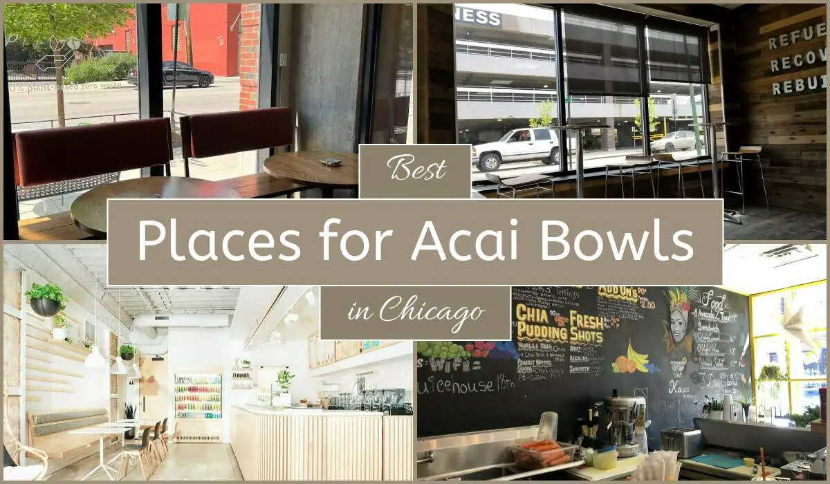 Best Places For Acai Bowls In Chicago