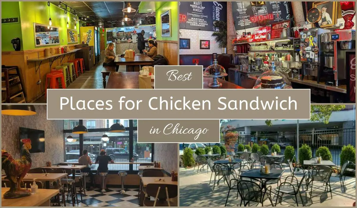 Best Places For Chicken Sandwich In Chicago