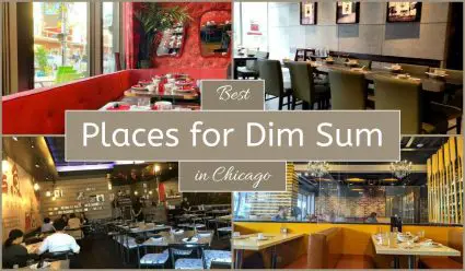 Best Places For Dim Sum In Chicago