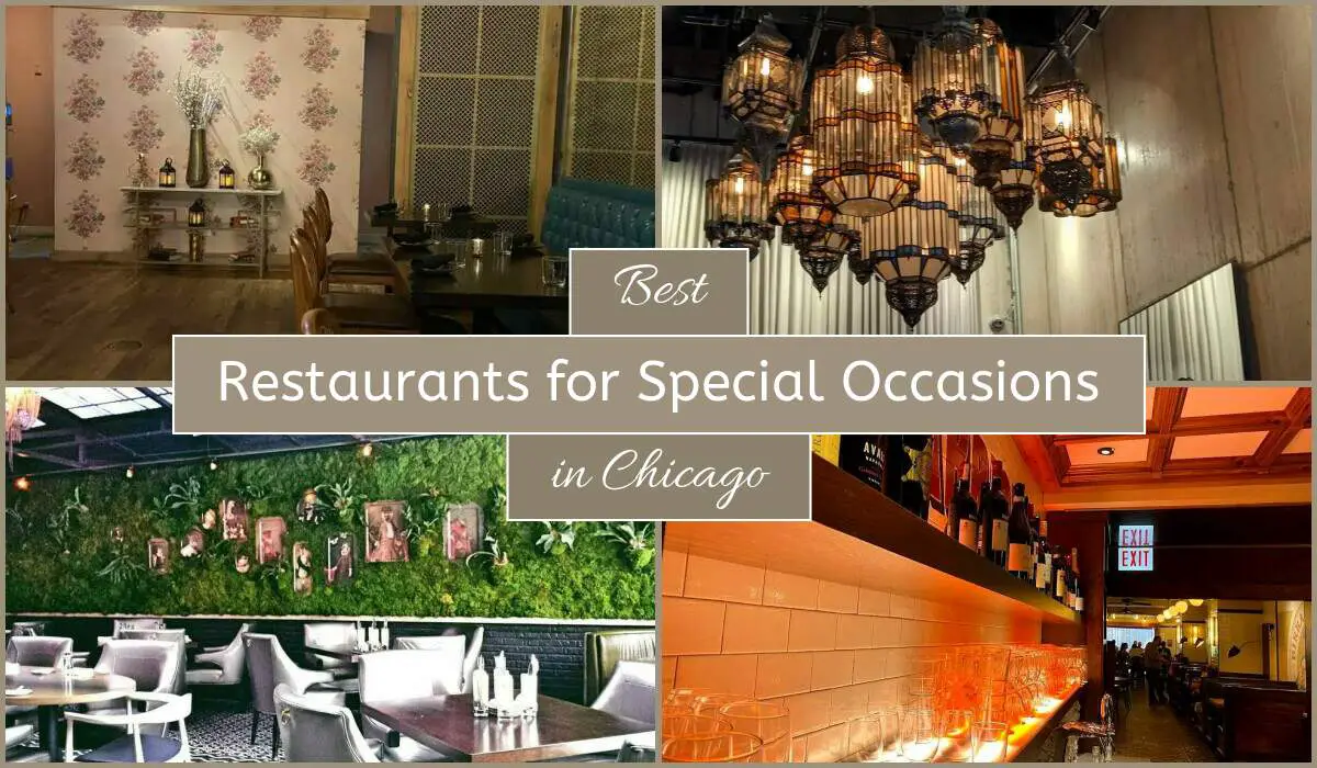 Best Restaurants For Special Occasions In Chicago